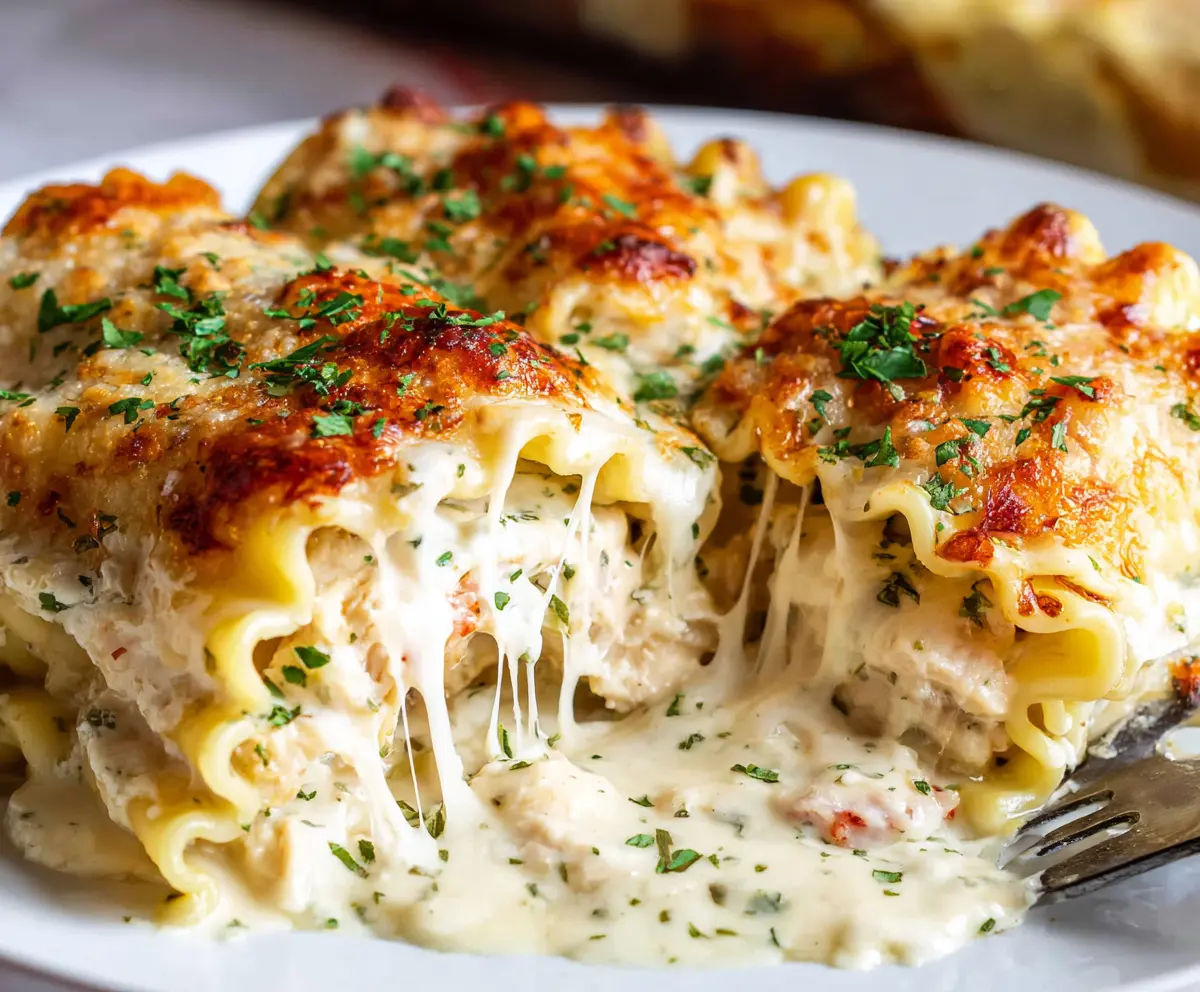 Delicious Chicken Alfredo Lasagna Rolls served on a white platter, showcasing creamy cheese and tender chicken wrapped in lasagna sheets.