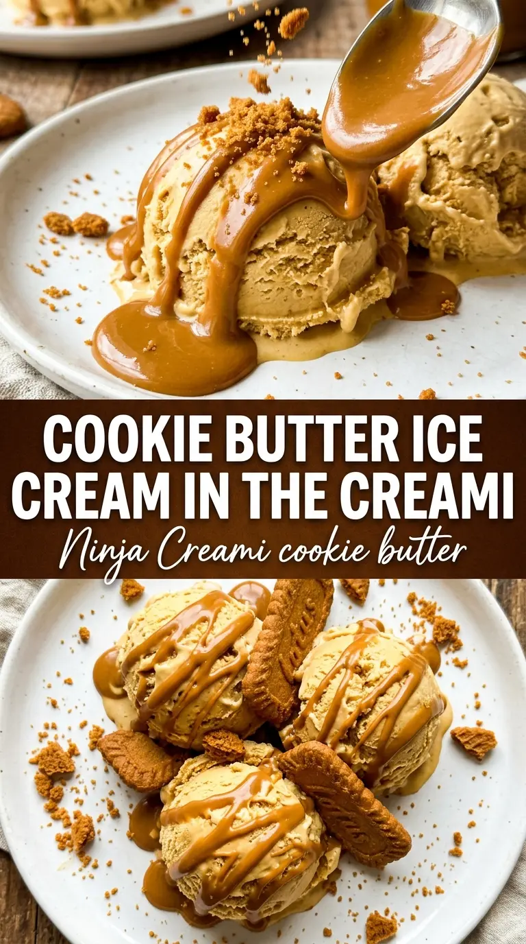 Ninja Creami Cookie Butter Ice Cream, creamy spiced Biscoff